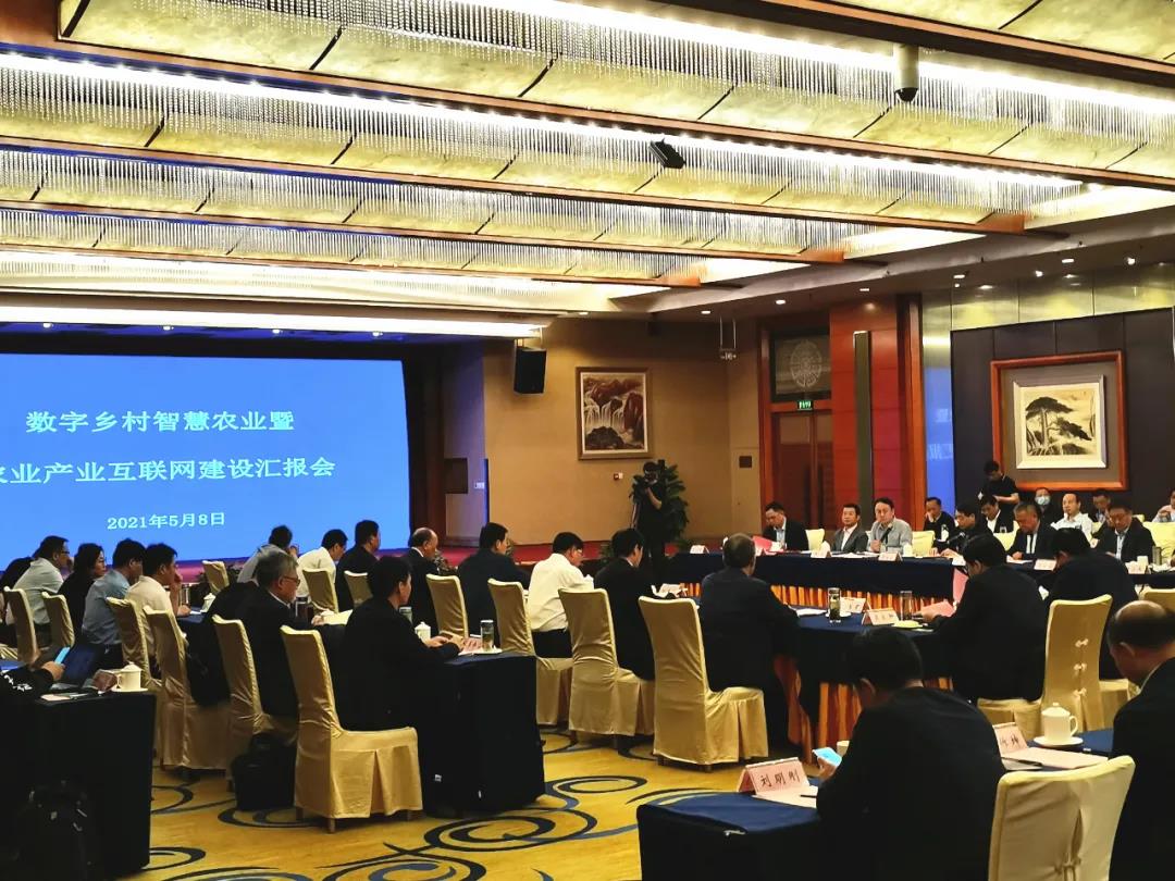 賦能數(shù)字鄉(xiāng)村，蒼穹數(shù)碼董事長(zhǎng)徐文中受邀出席安徽省數(shù)字鄉(xiāng)村智慧農(nóng)業(yè)暨農(nóng)業(yè)產(chǎn)業(yè)互聯(lián)網(wǎng)建設(shè)匯報(bào)會(huì)并作點(diǎn)評(píng)